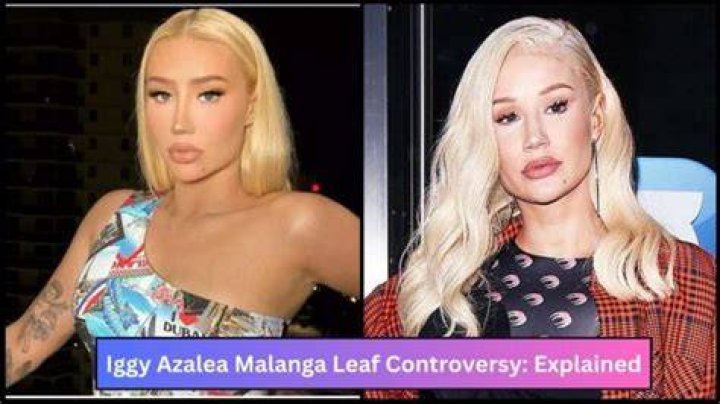 Unveiling the Controversy: The Iggy Azalea Leak