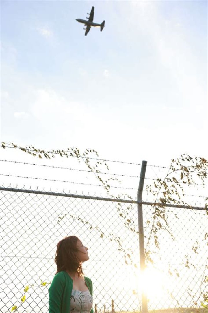 Unveiling the Enigma: Ranran Fujii's Journey Through Art and Life