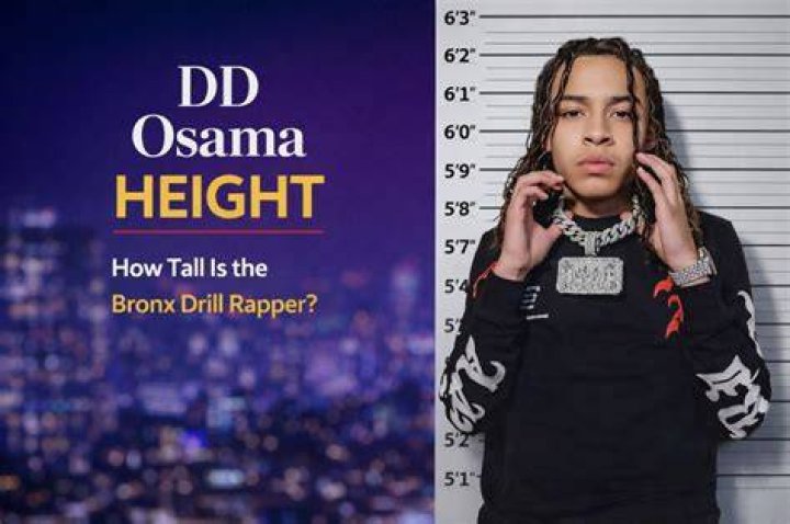 Unveiling the Height of DD Osama: A Closer Look