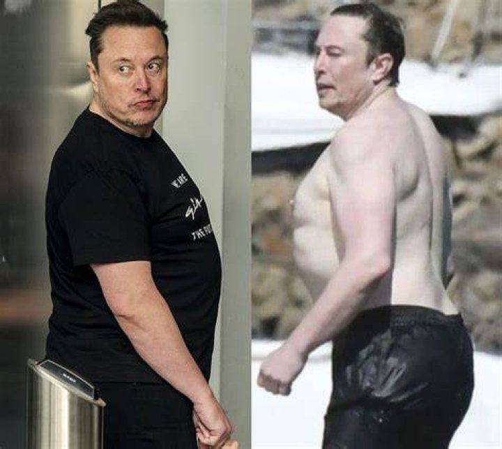 Unveiling the Mystique: The Fascination with Elon Musk Shirtless