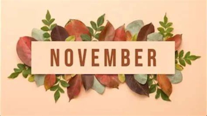 Why November 15th Holds Special Significance Across the Globe